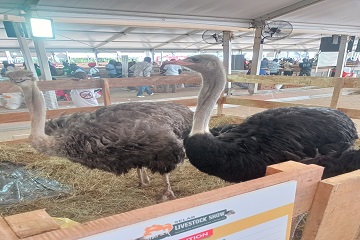 Côte d’Ivoire / Clôture du Sommet de l’Elevage d’Abidjan : une troisième édition du SELAB Livestock Show qui a tenu toutes ses promesses